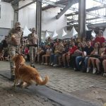 Porto de Santos celebra 133 anos com diversas atividades