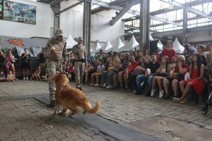 Porto de Santos celebra 133 anos com diversas atividades