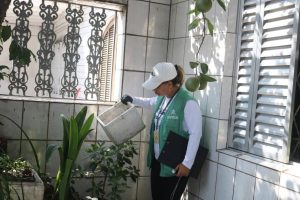 Santos intensifica combate ao Aedes aegypti