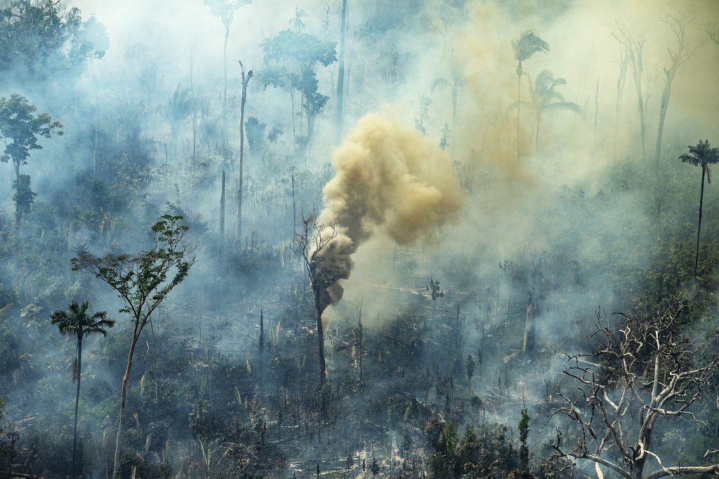 Exposição na Pinacoteca debate urgência ambiental