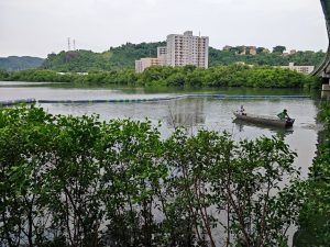 Santos Brasil e Instituto Nova Maré realizam mutirão de limpeza