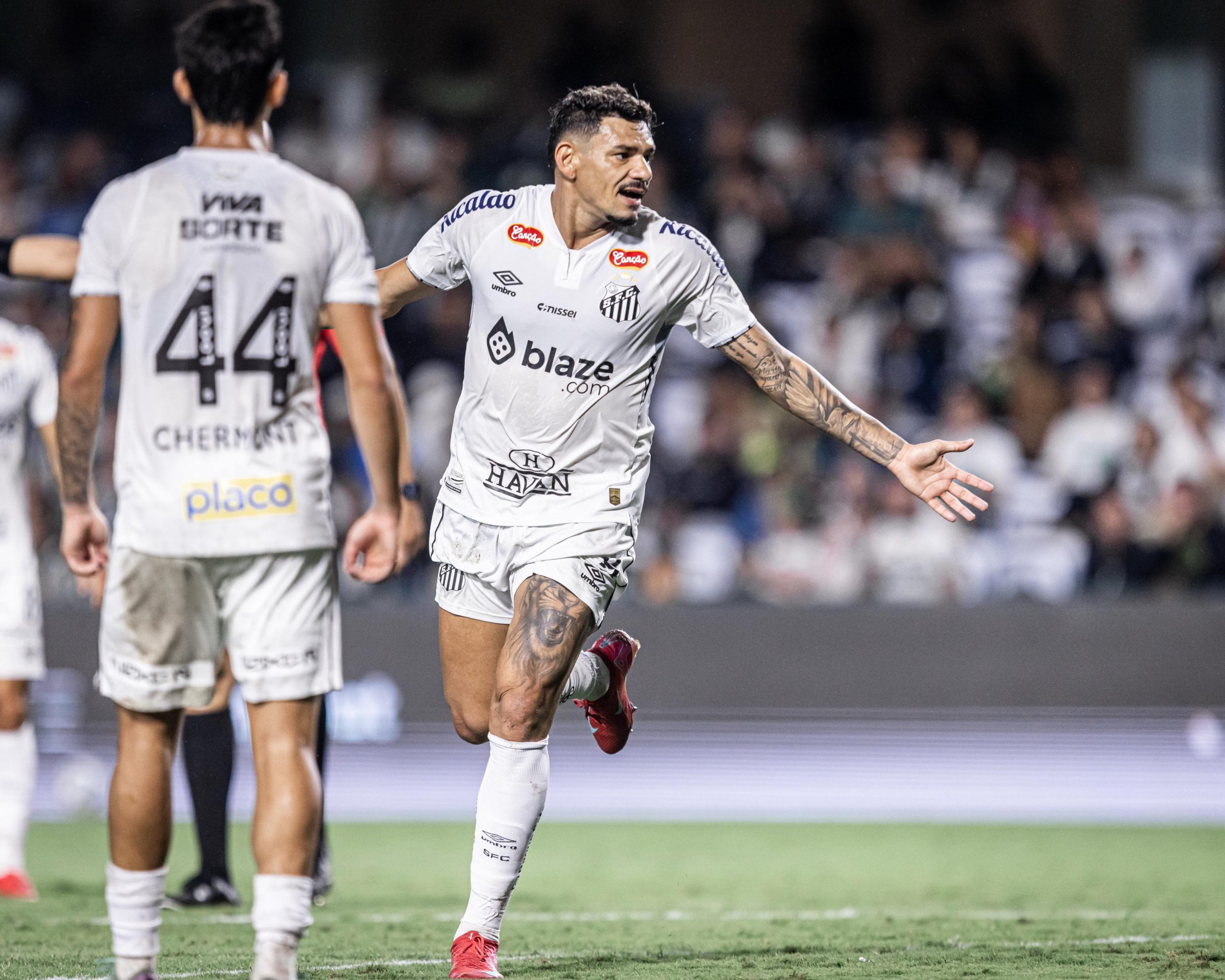 Raul Baretta / Santos FC Raul Baretta / Santos FC