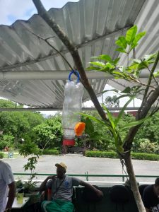 Oficina de educação ambiental cria bebedouros para pássaros