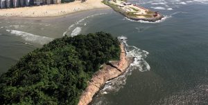 Operação conjunta combate crimes ambientais em Santos
