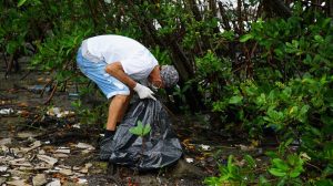 São Vicente recebe virada sustentável