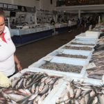 Mercado de Peixe faz Festival da Sardinha por R$ 11,99