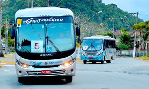 Cadastro para transporte universitário está disponível até dia 15
