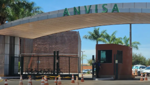 Anvisa aprova vacina do Butantan contra chikungunya