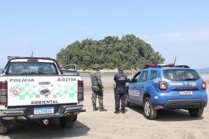 Força-tarefa volta à Ilha Urubuqueçaba após incêndios