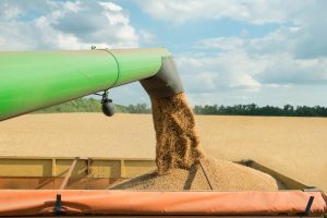 ACS promove o 1º Grain Day reunindo players da cadeia de negócios de grãos