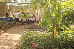 Orquidário de Santos oferece atividades no mês de abril