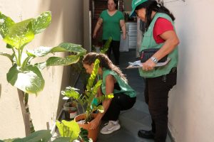 Mutirões contra o Aedes já eliminaram mais de 1,2 mil focos em Santos
