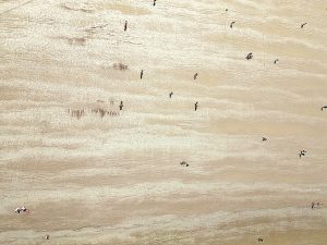 Fotógrafo revela Santos sob nova perspectiva em exposição