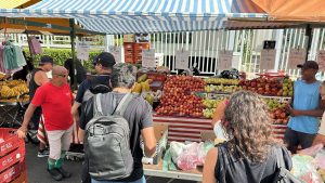 Feiras livres de Santos passam por fiscalização