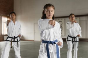 Vilas Criativas de Santos promovem Festival de Artes Marciais