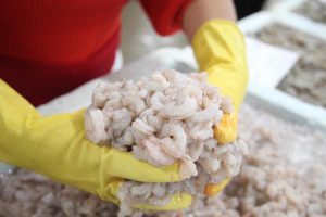 Festival do Camarão é prorrogado até 8 de junho no Mercado do Peixe