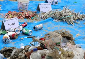 Mais de mil bitucas são retiradas da faixa de areia em PG