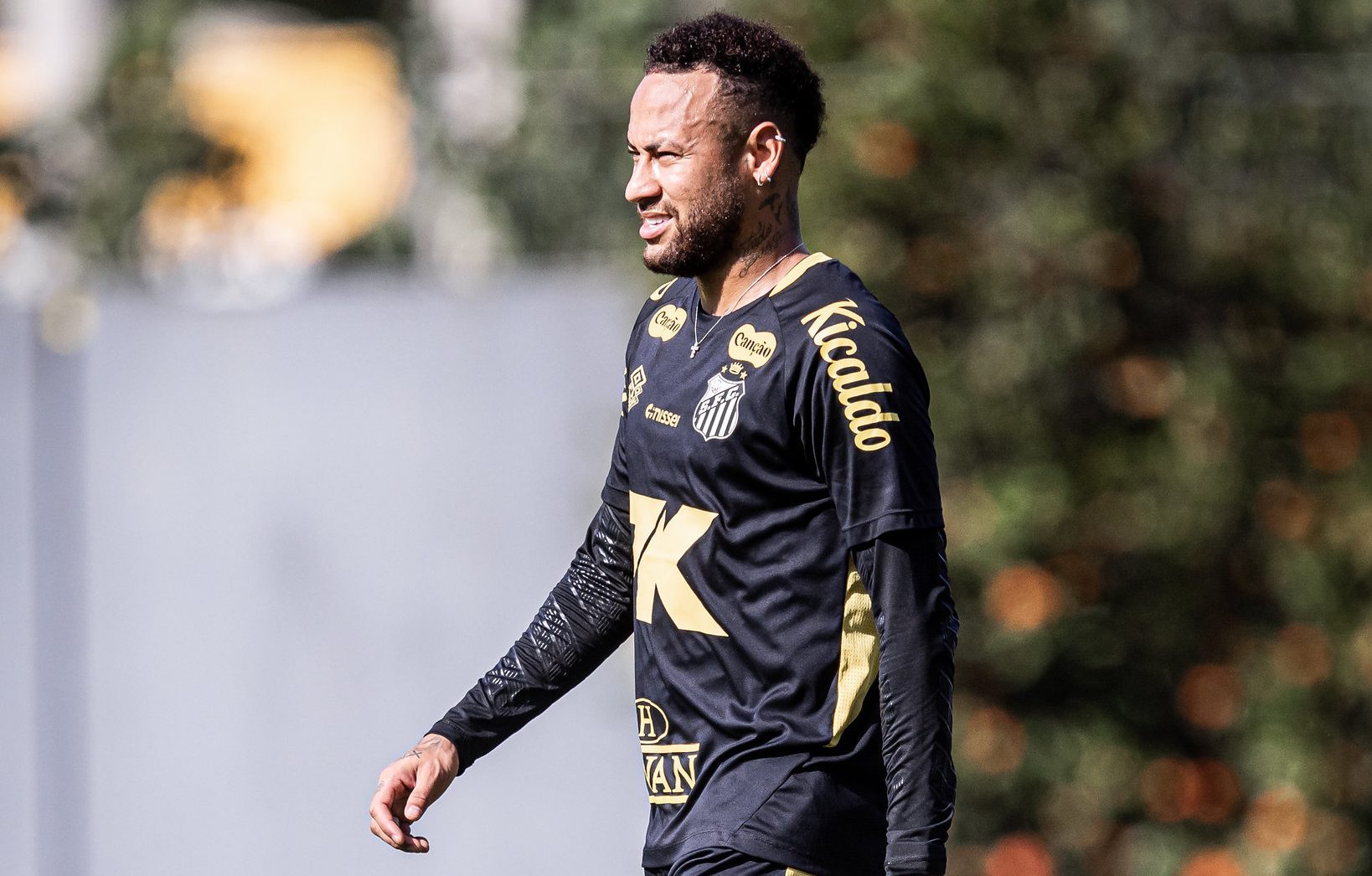 Raul Baretta / Santos FC