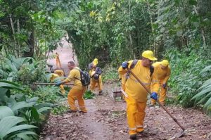 Zeladoria percorre bairros de Cubatão com serviços de limpeza e melhorias