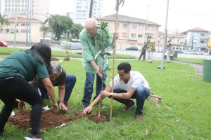 Santos vai ganhar 200 novas árvores na Semana no Meio Ambiente
