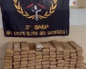 Polícia encontra mais de 100 kg de drogas enterradas em São Vicente