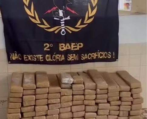 Divulgação/ Secretaria da Segurança Pública de São Paulo