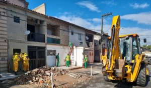 Força-Tarefa remove 22 construções irregulares