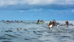 Bertioga recebe etapa da Copa São Paulo de Canoa Havaiana no dia 5 de julho