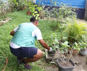 Ralos e vasos de planta lideram encontros de larvas de Aedes em Santos