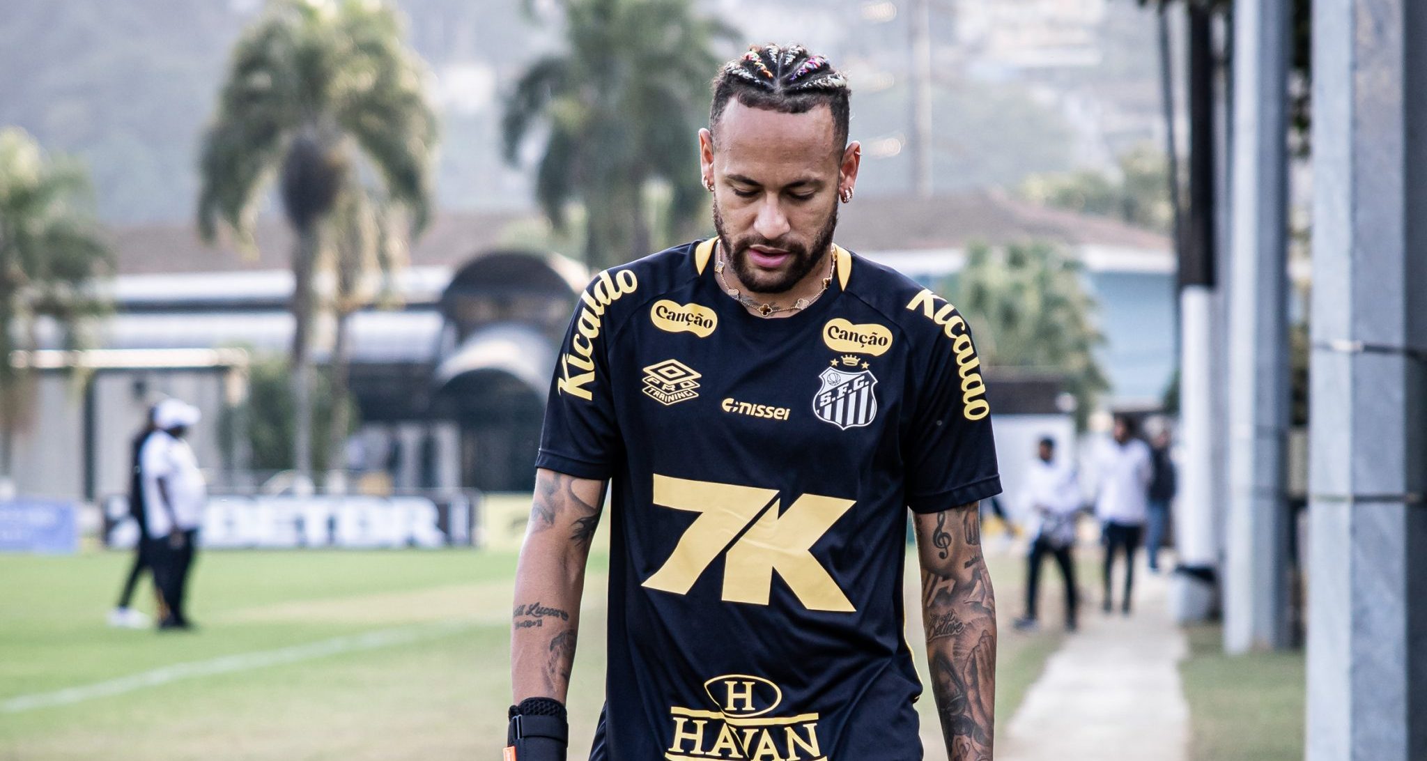 aul Baretta/Santos FC aul Baretta/Santos FC