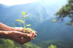Empresas brasileiras ampliam investimentos em sustentabilidade