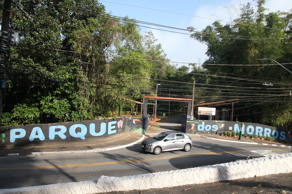 Parque dos Morros se torna nova opção de turismo e aventura em Santos