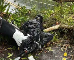 Motociclista é atingido por árvore em rodovia