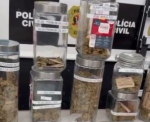 Homem de 40 anos é preso por cultivo ilegal de drogas em Santos