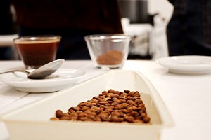Festival Santos Café celebra 10ª edição com programação criativa