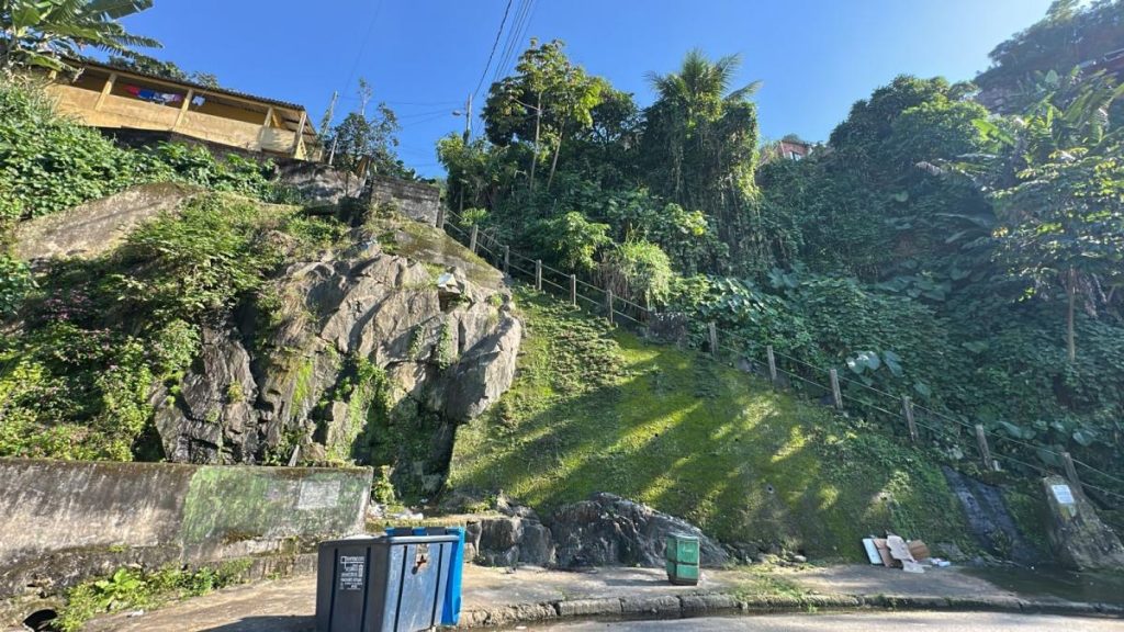 Projeto transforma áreas degradadas em espaços verdes em Santos