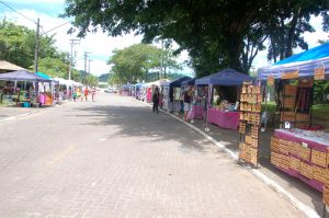 Feira de Artesanato agita o Portinho em PG neste domingo