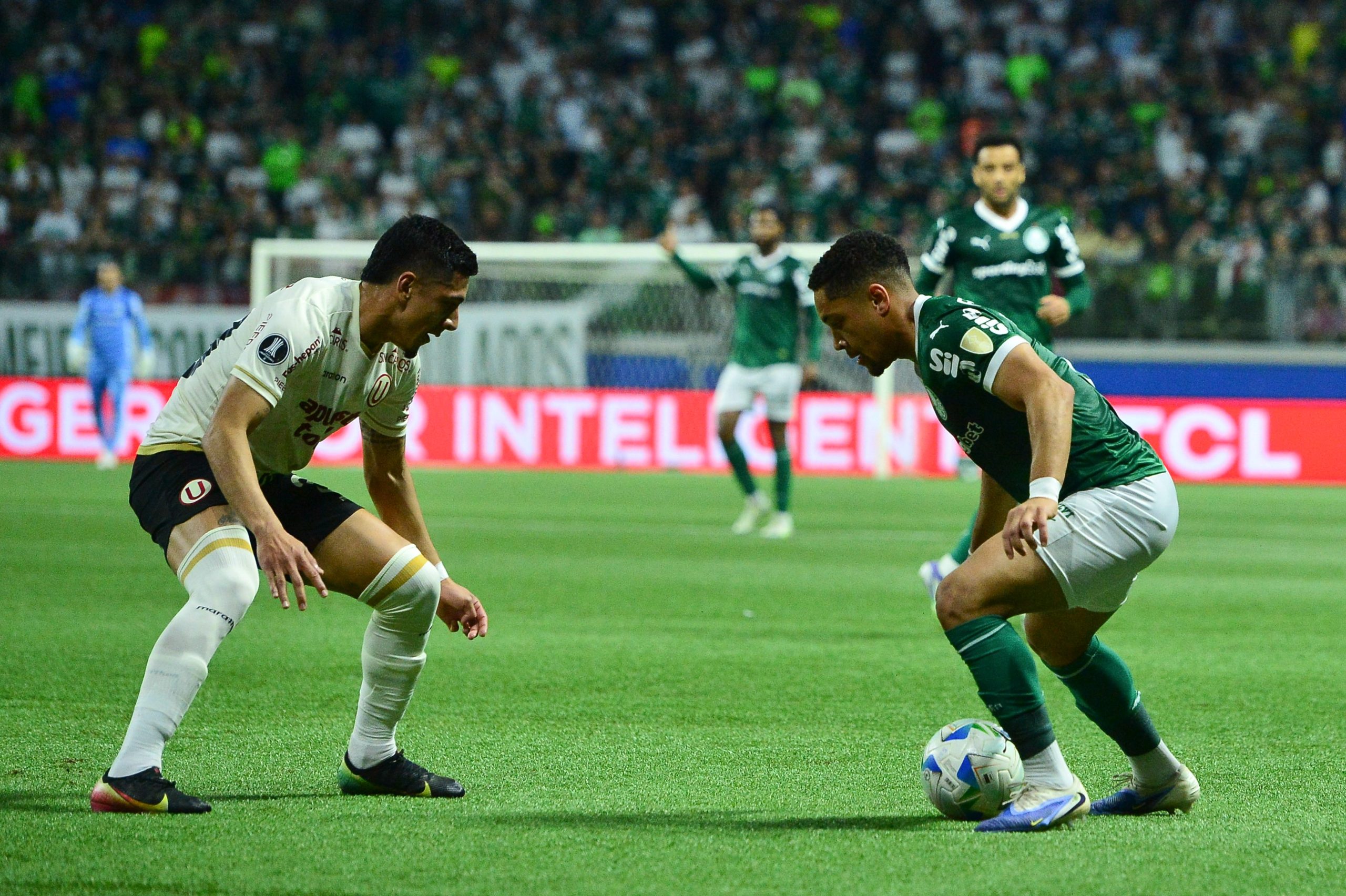Palmeiras dá sono, joga mal e avança na Libertadores graças à goleada no Peru | Jornal da Orla