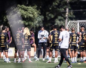 Santos tem 30% de chance de rebaixamento no Campeonato Brasileiro