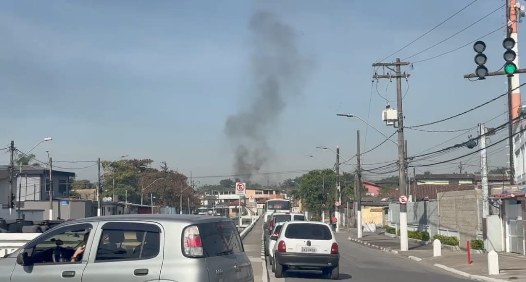Reprodução Reprodução