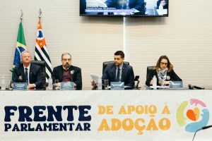 Assembleia destaca potencial do apadrinhamento afetivo