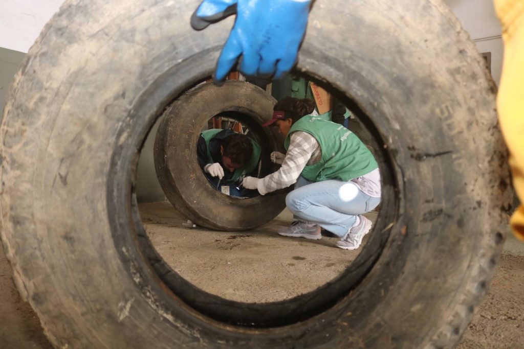 Mutirão na ZN elimina 46 focos do Aedes aegypti