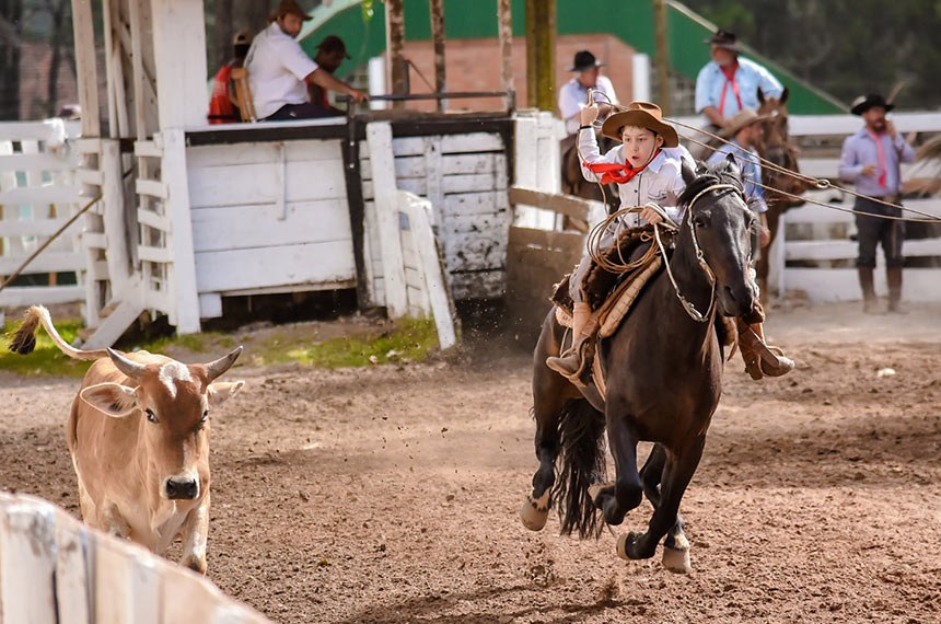 Após críticas, projeto que abriria porteira para rodeios é vetado