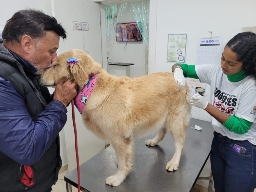 Guarujá supera total de animais vacinados contra raiva