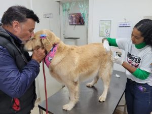 Guarujá supera total de animais vacinados contra raiva