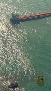 Navio graneleiro chinês encalha ao entrar no Porto de Santos; vídeo