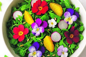 Primavera em Santos: flores que enfeitam e alimentam