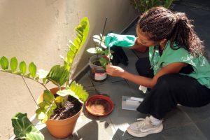 Mutirão combate focos do Aedes aegypti em Caruara