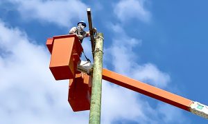 Itanhaém chega a 83% da cidade com iluminação pública em LED