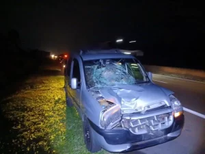 Pedestre morre atropelado em rodovia de Peruíbe